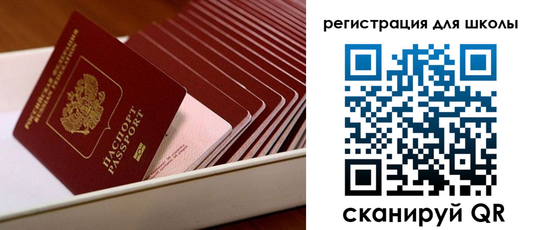 прописка гарантия в Поронайске